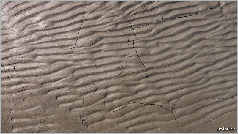 sasse-nibles-25web.jpg - Vase ridée par le courant