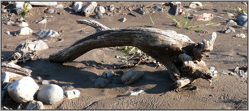 sasse-36web.jpg - Bois échoué très inspirant !