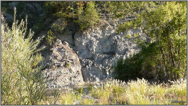 sasse-51web.jpg - Végétal et minéral