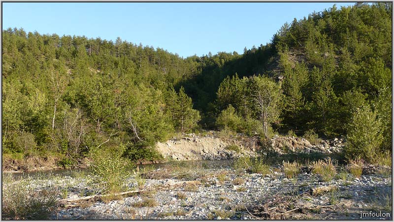 sasse-52web.jpg - Forêt de pins rive droite