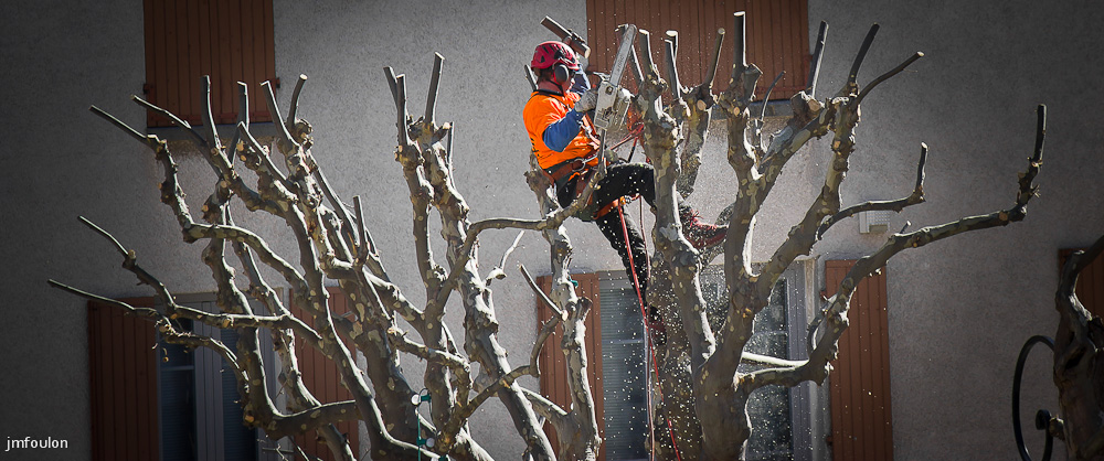 elagage-002.jpg - Action ! ...