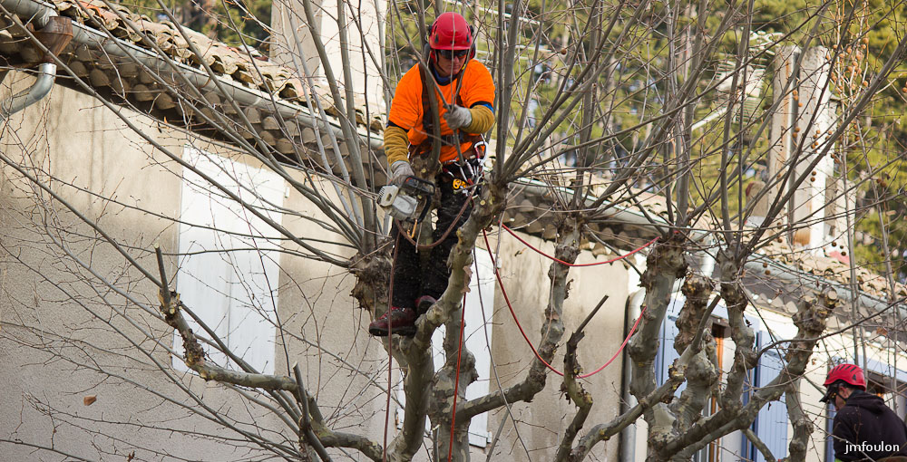 elagage-005.jpg - Rue de Provence ...