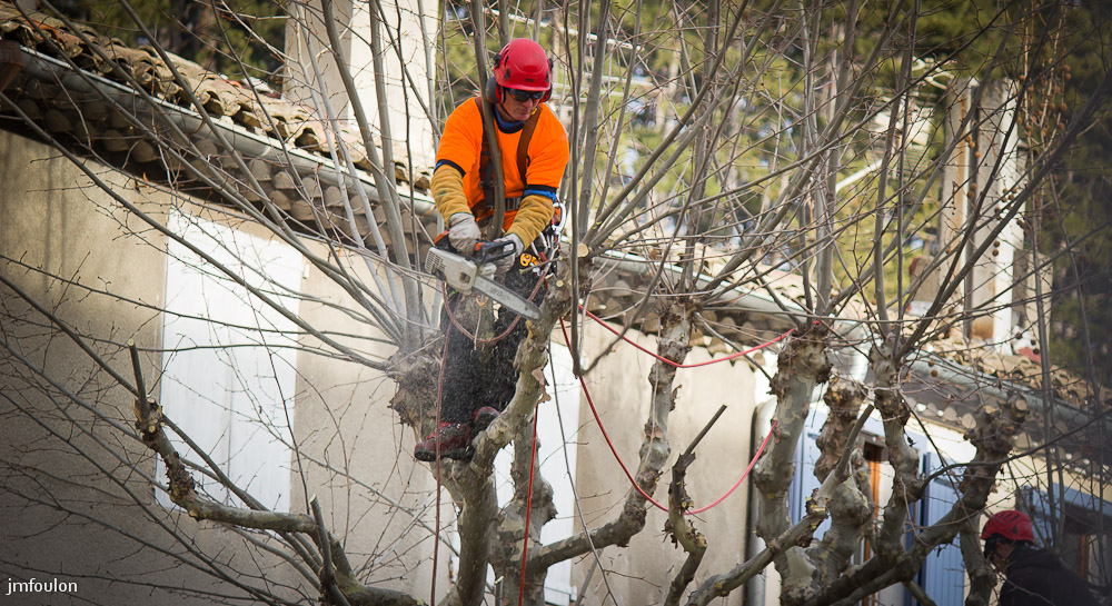 elagage-006.jpg - Action ! ...