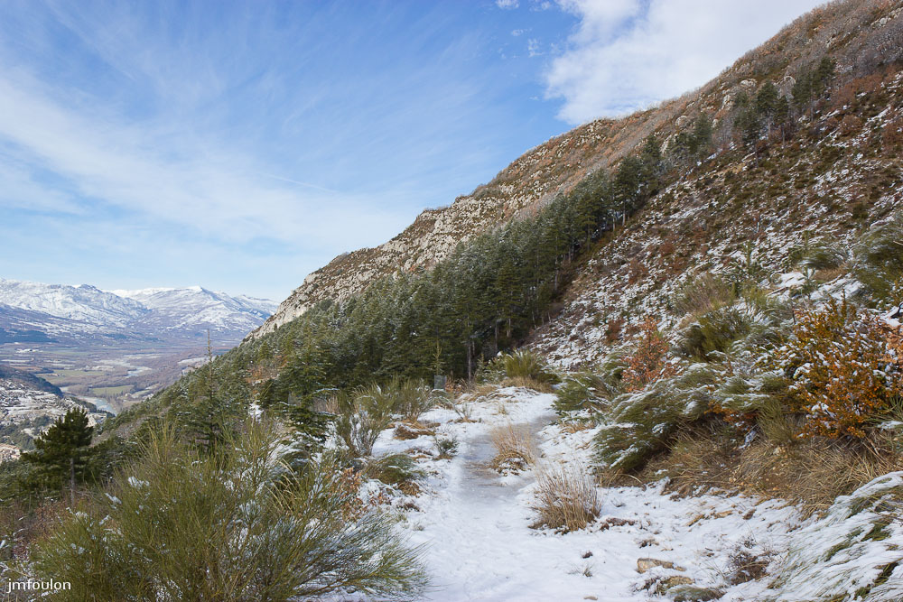 tr-baume-058-2.jpg - Nous allons quitter la piste pour empreinter le sentier qui nous mènera par une descente assez raide sous les cèdres jusqu'à Sisteron