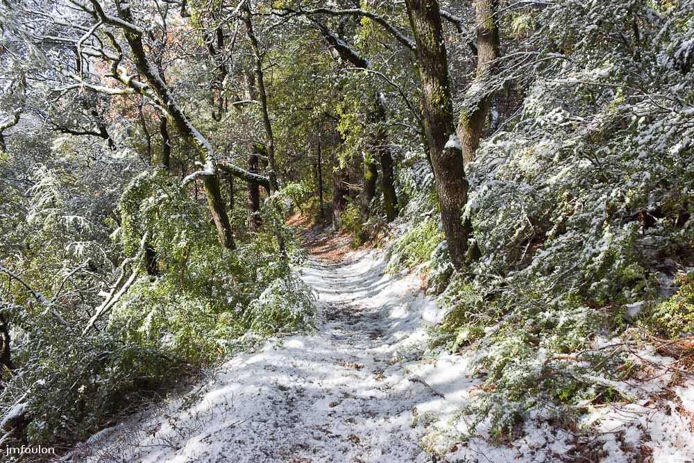 tr-baume-061-2.jpg - Nous voici sur le sentier