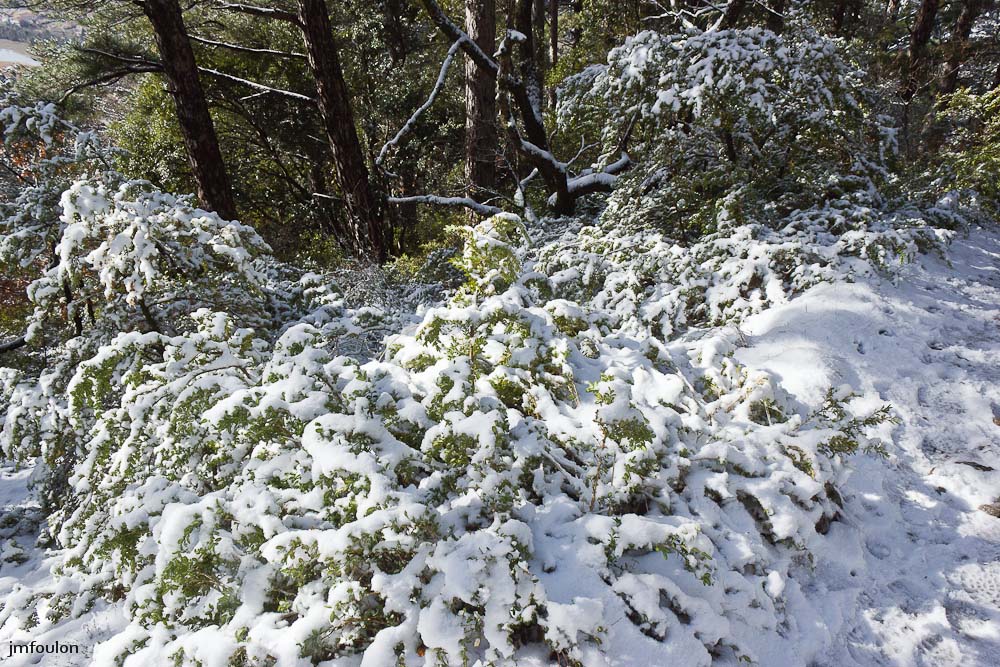 tr-baume-062-2.jpg - Aux abords du sentier