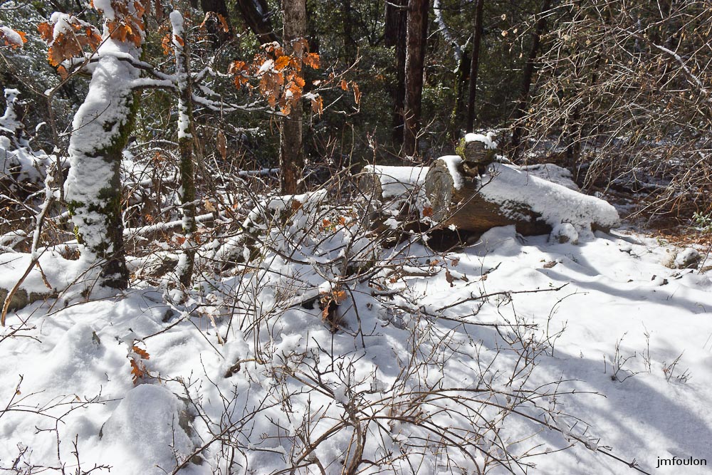 tr-baume-063-2.jpg - Aux abords du sentier