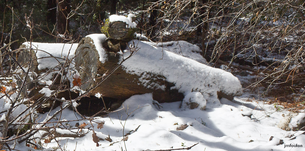 tr-baume-063-3.jpg - Aux abords du sentier