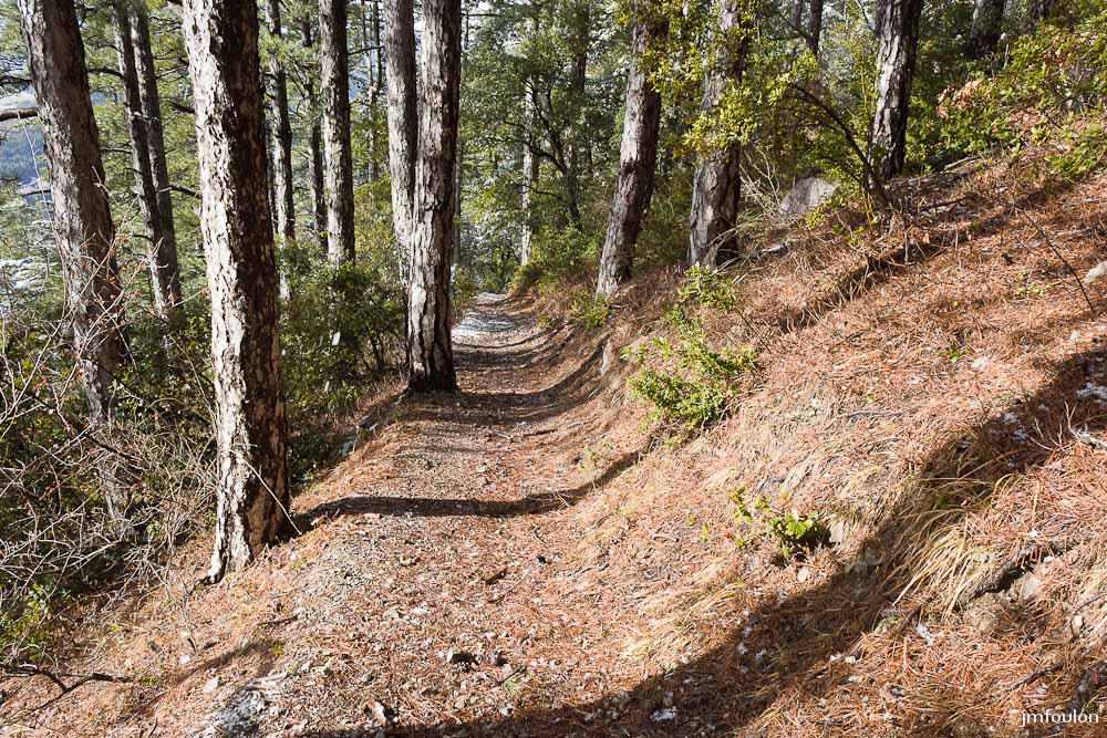 tr-baume-065-2.jpg - Aux abords du sentier