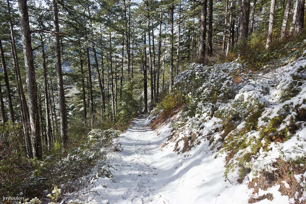 tr-baume-066-2.jpg - Le sentier qui chemine en sous-bois jusqu'à Sisteron