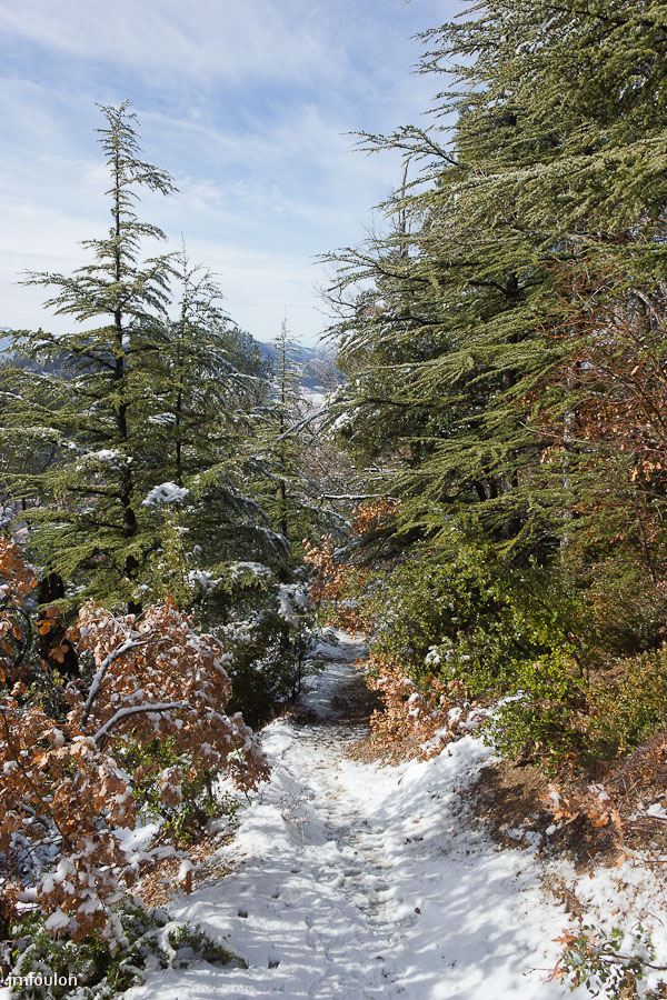 tr-baume-067-2.jpg - Autre vue sur le sentier