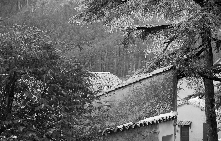 sisteron_n-b-033web.jpg - Vue sur la forêt du Molard depuis la Coste.