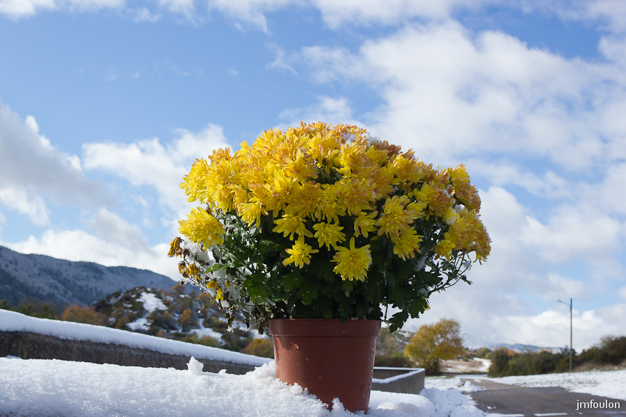 sist-21-11-13-036.jpg - Au container à poubelle du cimetière