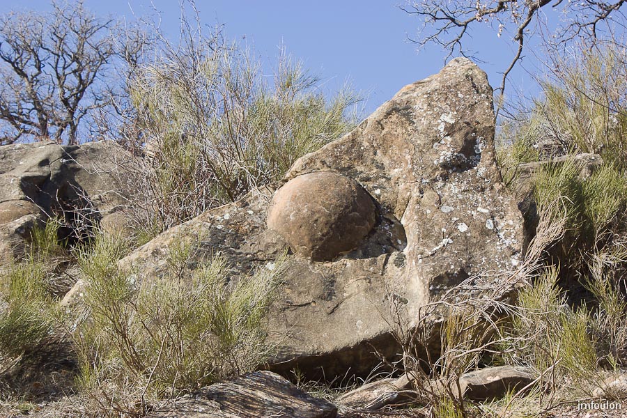 pierre-avon-001.jpg - A mis chemin de Pierre Avon, voici la première boule de grés qui s'offre à nos regards émerveillés !