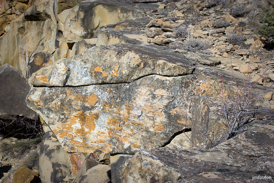 pierre-avon-045.jpg - Barre rocheuse de Pierre Avon - Une baleine souriant ! ...