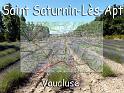 st-saturnin-00