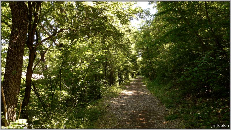 tallard-chateau-61web.jpg - Allée du parc menant au chateau