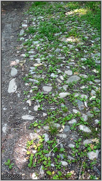tallard-chateau-62web.jpg - Cette allée était caladée, comme le montre cette photo