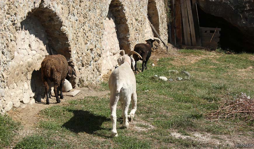 theze-jardins-14web.jpg - Thèze - Ici vivent quelques ovins