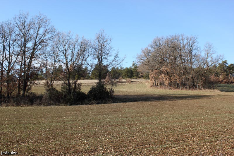 theze-tour-chenes_002.jpg - Quartier du Puy