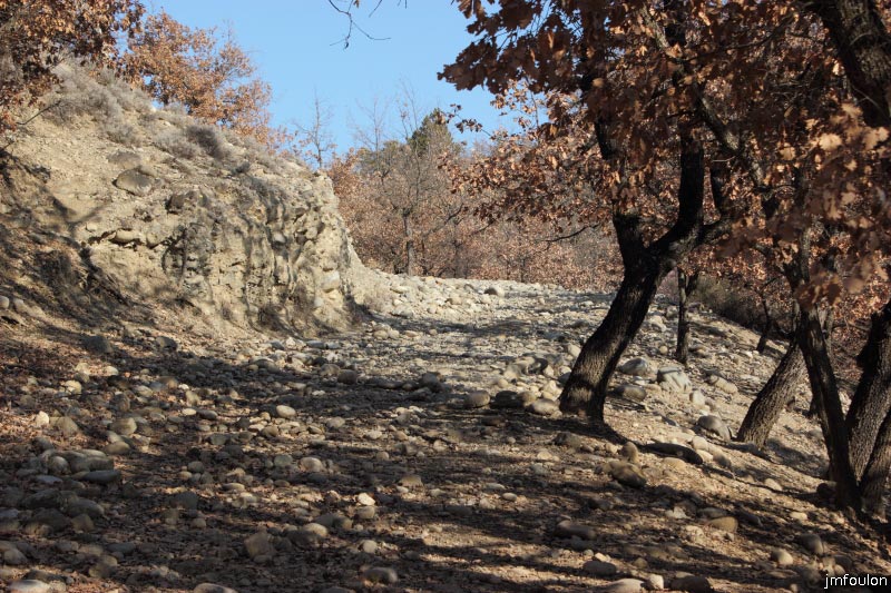 theze-tour-chenes_012.JPG - La draille (autre vue)