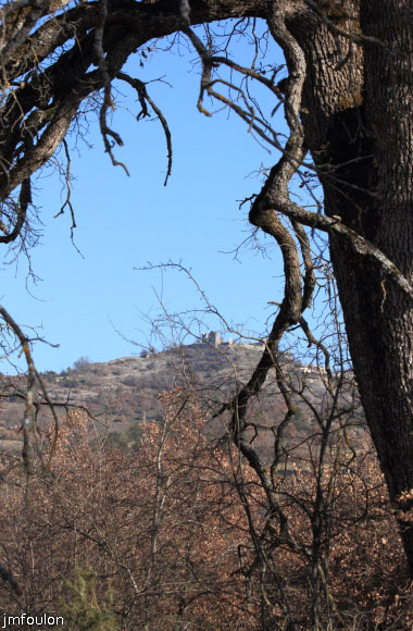 theze-tour-chenes_031.JPG - Au loin, les ruines du château de Sigoyer-Malpoil (XIIIe)