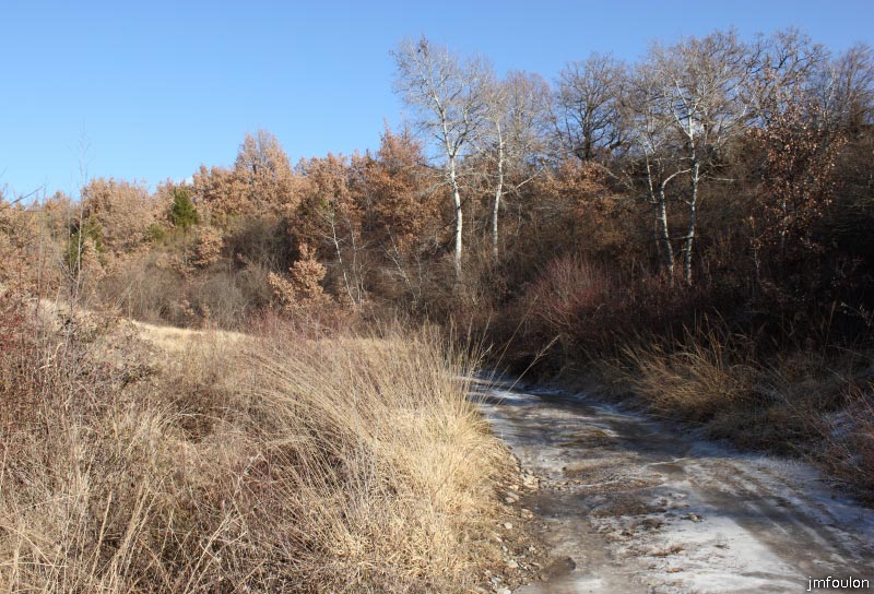 theze-tour-chenes_045.JPG - La piste, ici verglacée, avant d'arriver aux ruines des Ponchons