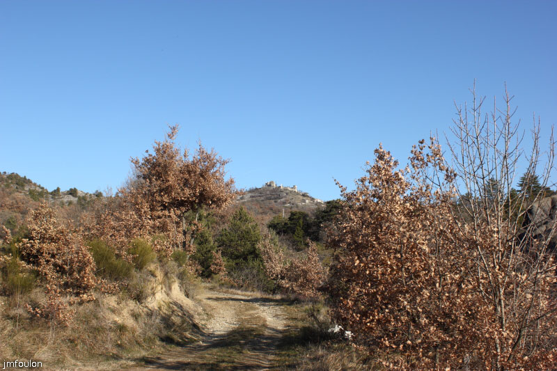 theze-tour-chenes_053.JPG - Montons maintenant plein Est vers Sigoyer avant de nous engager dans la forêt de pin de la Corpatasse