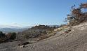 theze-tour-chenes_056