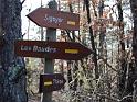 theze-tour-chenes_064