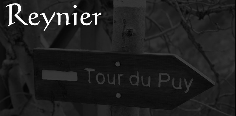 tour-du-puy-000.jpg - Reynier - Tour du Puy - Dénivelé: 550 m - Distance: 10 Km