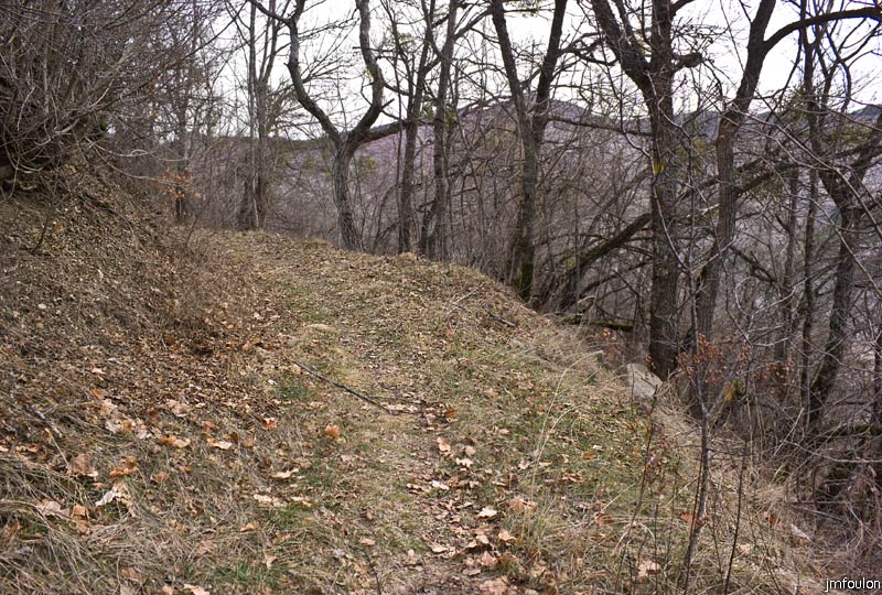 tour-du-puy-002.jpg - Le sentier juste après les Granges. Les temps est voilé et il fait très froid. Nous sommes ici à environ 1000 m