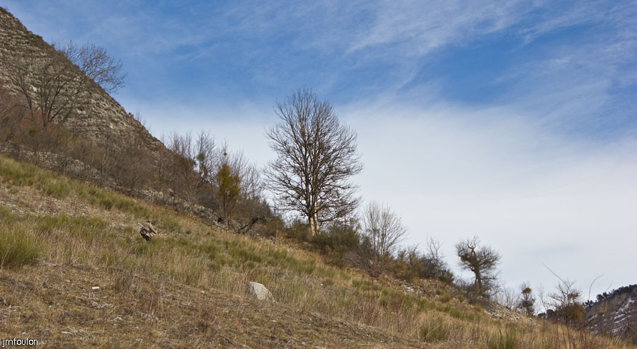 tour-du-puy-025.jpg - Le ravin de l'Adret avant d'arriver au Gayne. A gauche le Puy (1367 m)