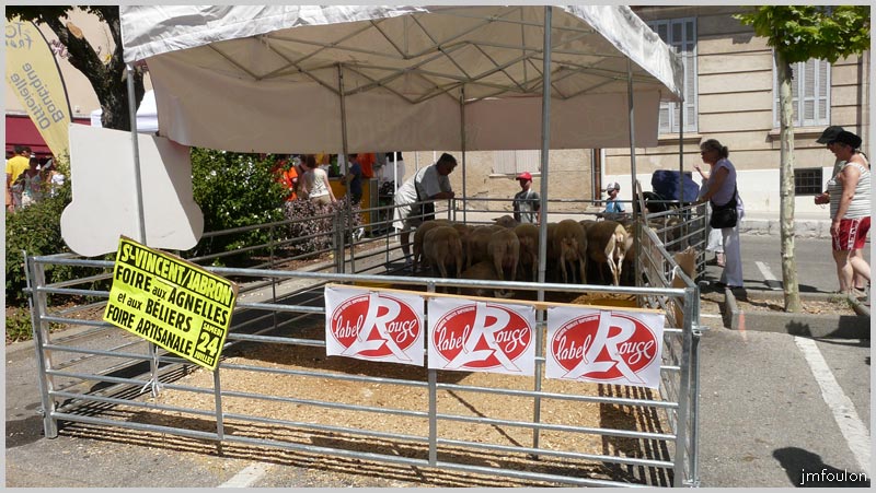 tour-france-07web.jpg - Le stand "Elevage ovin" devant la Cathédrale Notre Dame des Pommiers
