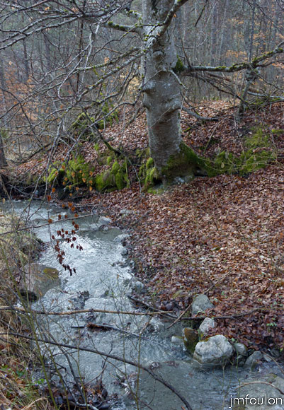 caire-tr-fistoire_06.jpg - Torrent de la Combe - Ce vallon est d'une totale sauvagerie. Magique !