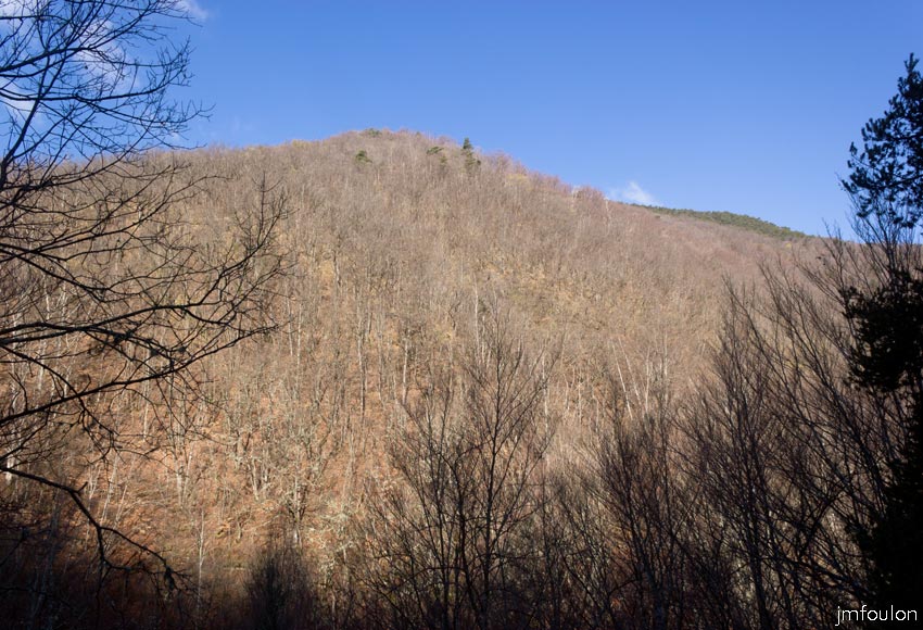 caire-tr-fistoire_13.jpg - Nous allons quitter le vallon de la Combe pour nous élever vers la Colle en traversant le bois de Pélissier sur environ 1km. 400 m de dénivellé sur cette portion de sentier. Arg !