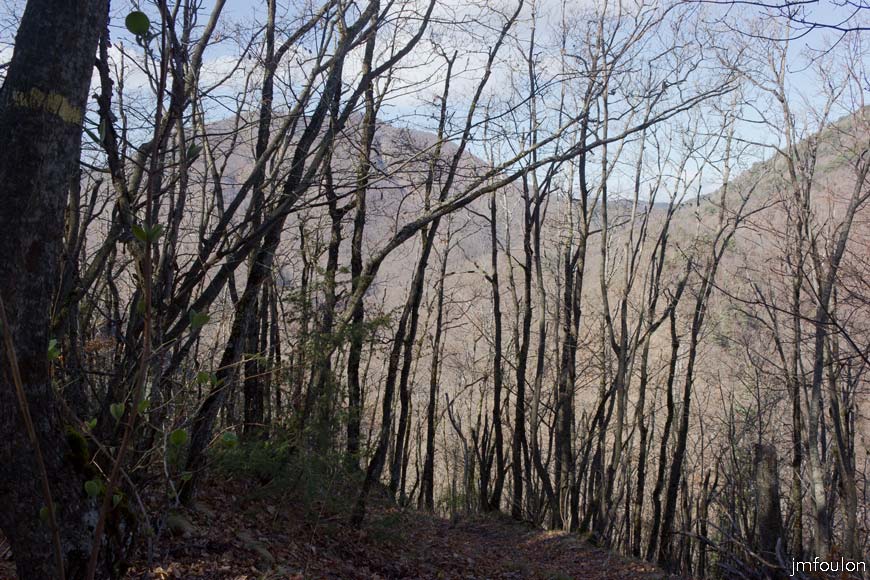 caire-tr-fistoire_14.jpg - Bois de Pélissier (vue à contresens de la marche)