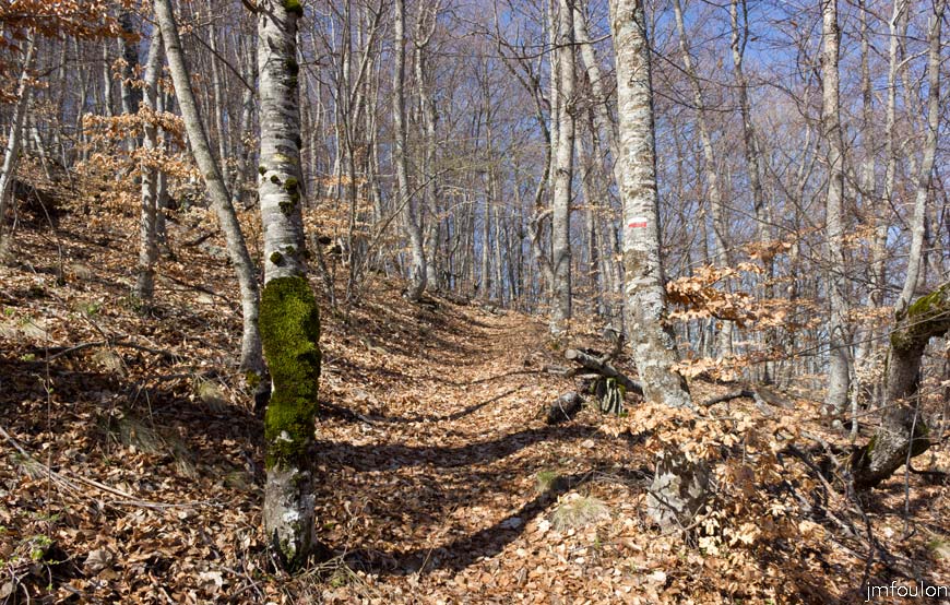caire-tr-fistoire_21.jpg - A partir d'ici, le sentier est aussi balisé en rouge et blanc. C'est une variante du GR 653D (Tour des Hautes Terres de Provence) Nous allons traversez le bois de la Combe sur environ 1,8 km
