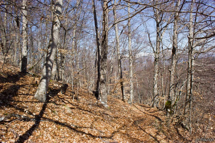 caire-tr-fistoire_22.jpg - Nous sommes sur le flanc Ouest de la montagne de Piefourcha (1437 m) Nous sommes à 200 m environ sous son sommet à l'Ouest