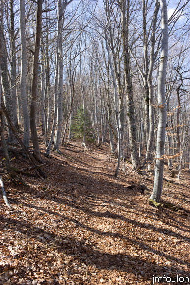 caire-tr-fistoire_25.jpg - Le sentier (autre vue)