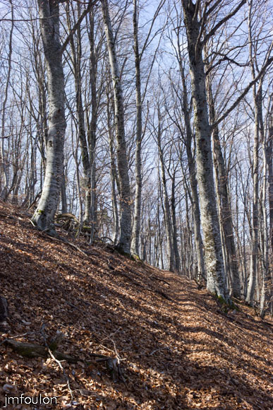 caire-tr-fistoire_27.jpg - Autre vue sur le sentier