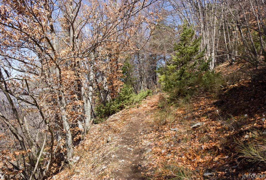 caire-tr-fistoire_29.jpg - Nous quittons le bois de la Combe. La végétation commence à charger