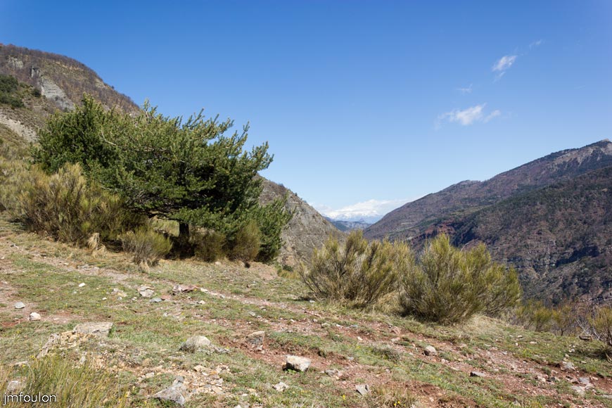 caire-tr-fistoire_38.jpg - Le sentier. A gauche Piéfourcha (1437 m). Vue vers le Nord