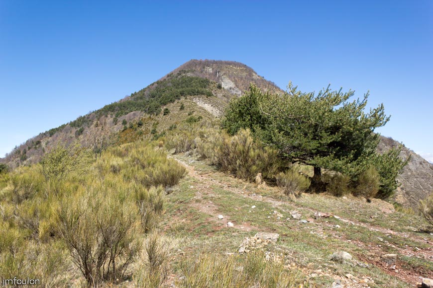 caire-tr-fistoire_39.jpg - Piéfourcha et le sentier (vue à contresens de la marche). A gauche le bois de la Combe que nous venons de traverser
