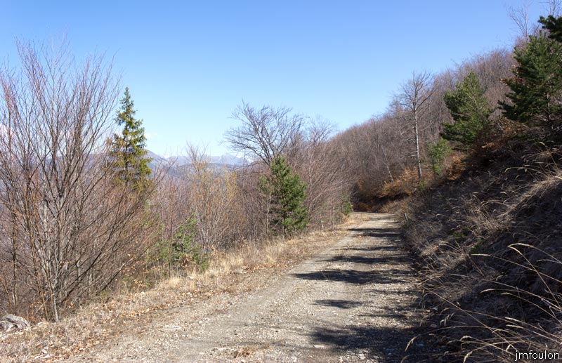 tour-tete-pape-27.jpg - Nous allons commencer la descente en suivant cette piste bordée de fayards (hêtres) puis une autre sur 1,8 Km