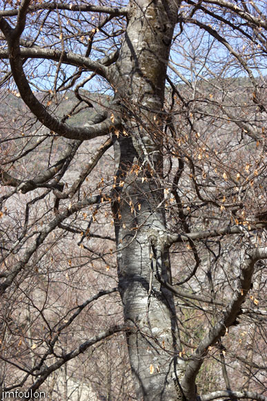 tour-tete-pape-29.jpg - Vers la cime