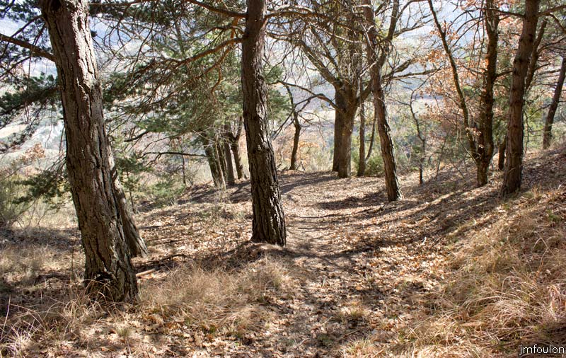 tour-tete-pape-43.jpg - Vue sur le sentier