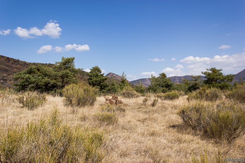 tour-tete-pape-46.jpg - Ici, le sentier traverse une zone herbeuse et clairsemée de genêts. Nous sommes à environ 700m de Gigors (vue à contresens de la marche)