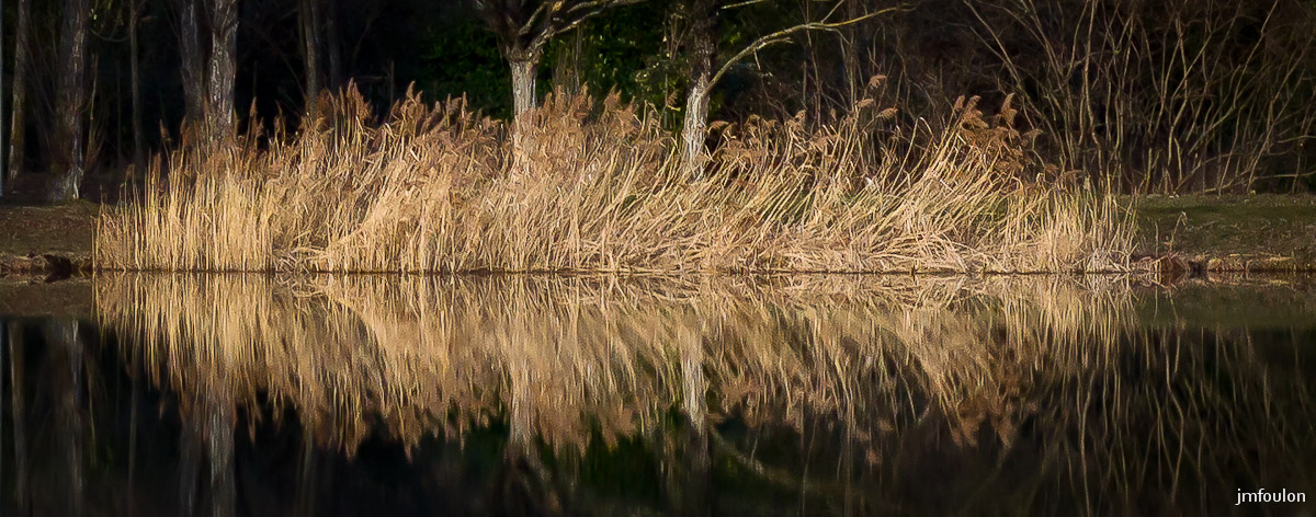 tr-lac-chateau-023.jpg - Les Roseaux d'Or ! ...