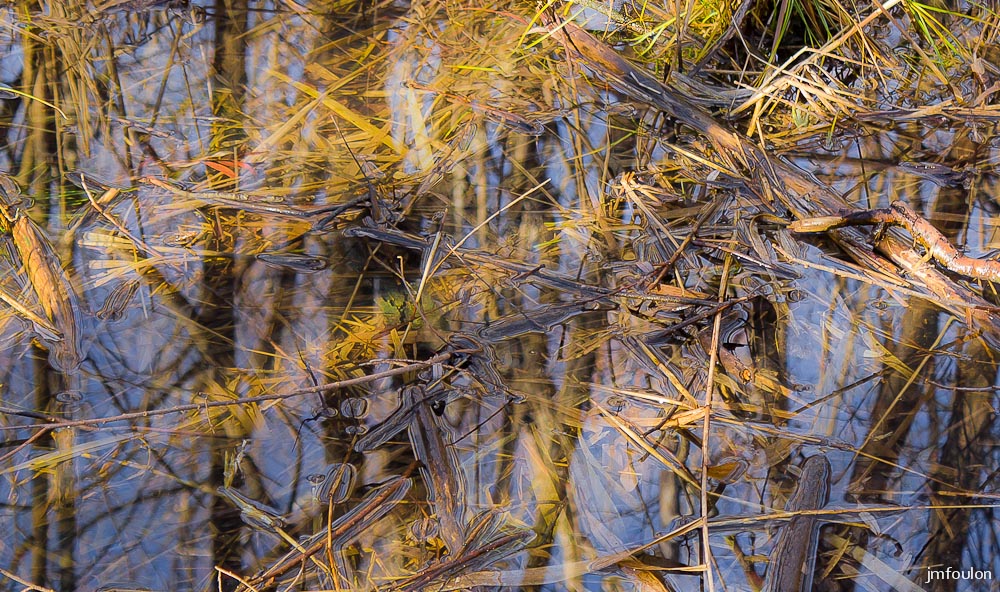 tr-lac-chateau-08.jpg - Reflets et lumière ! ...
